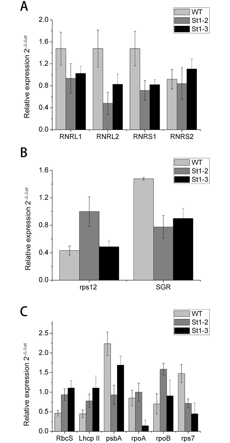 Fig 9