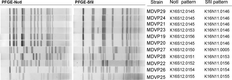 FIG 1