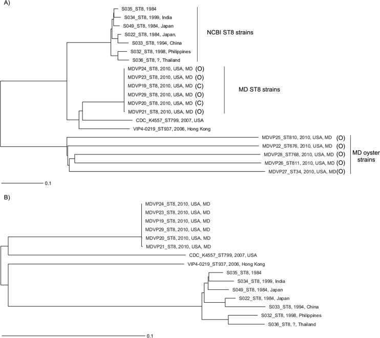 FIG 3