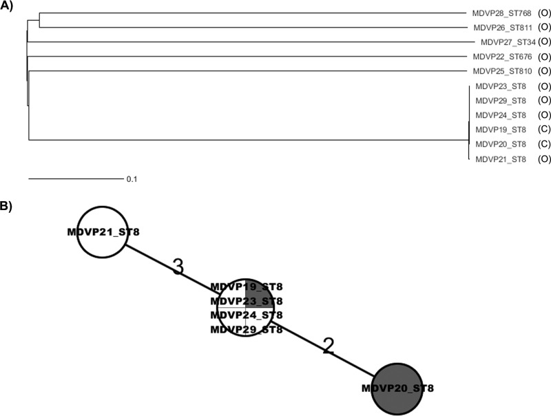 FIG 2