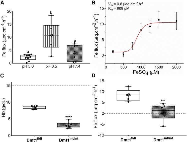 Figure 1