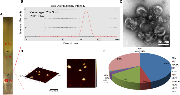 Figure 5