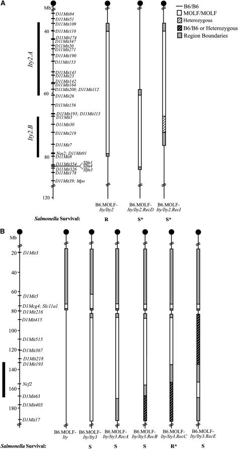 Figure 2.—