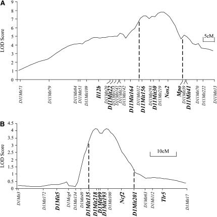 Figure 1.—