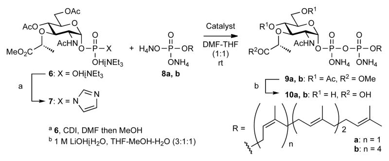 Scheme 3