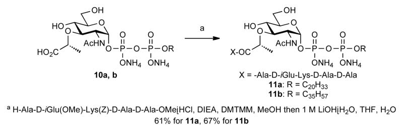 Scheme 4