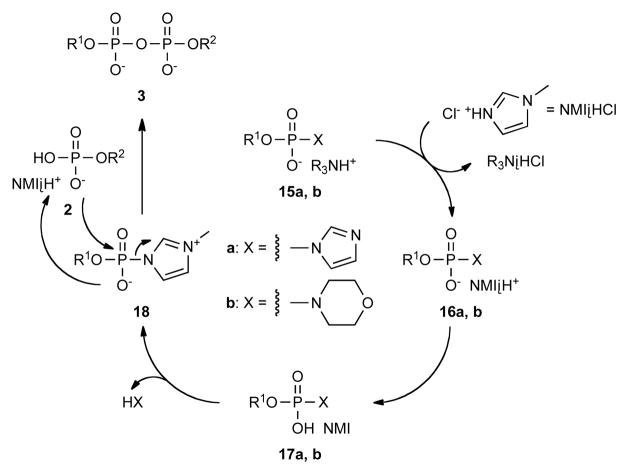 Scheme 6