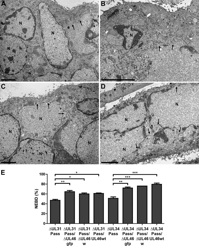 FIG 6