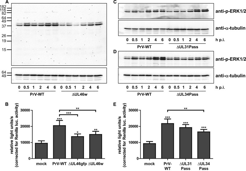 FIG 2