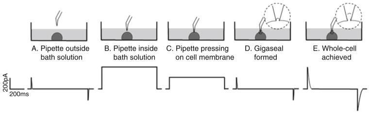 Fig. 2