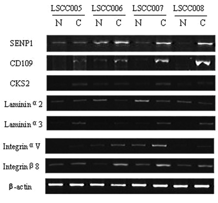 Figure 1.