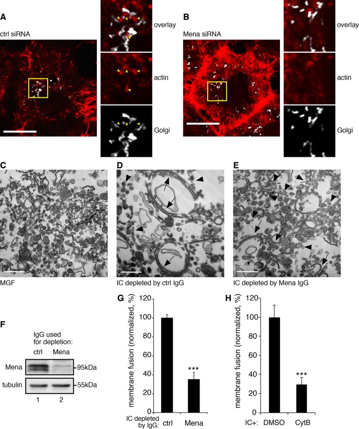 FIGURE 6: