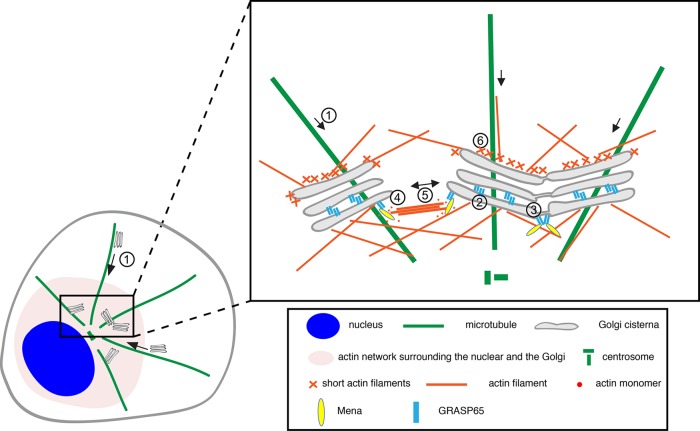 FIGURE 8: