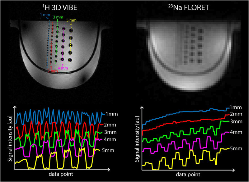 Figure 5: