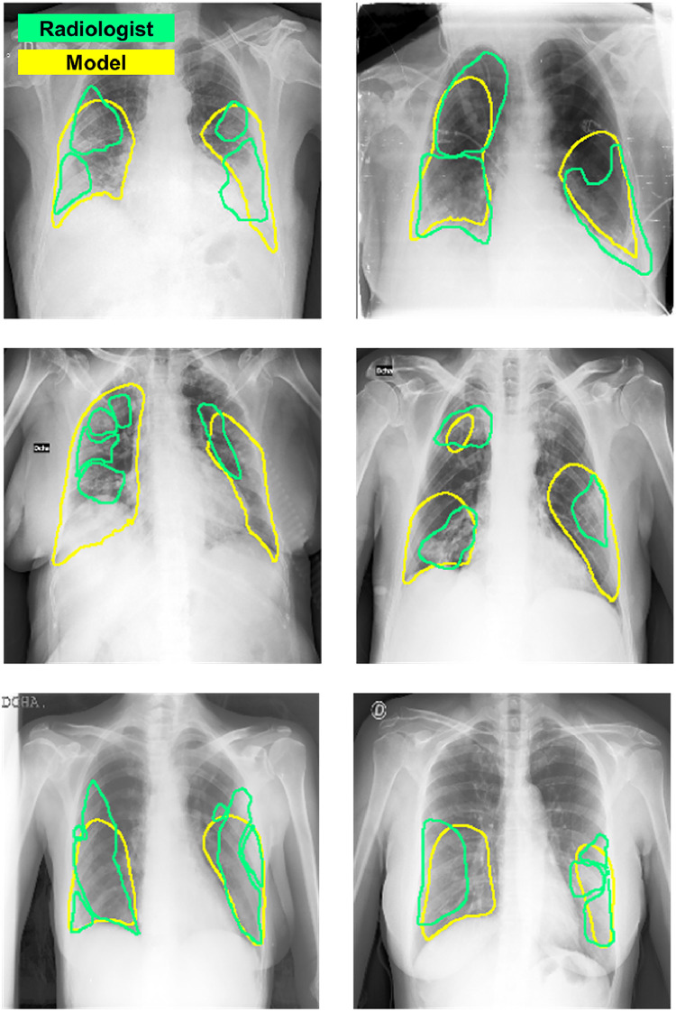 Fig. 7