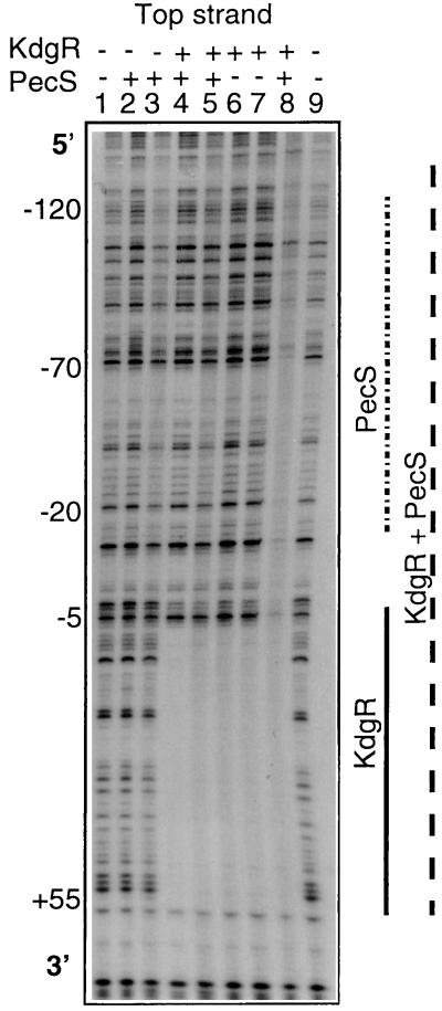 FIG. 7