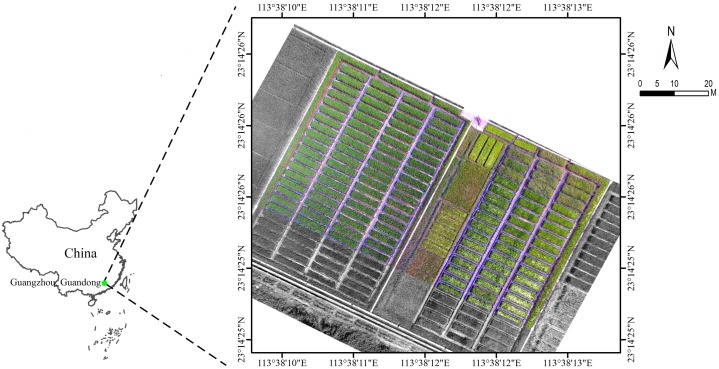 Fig 1