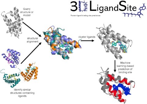 Graphical Abstract