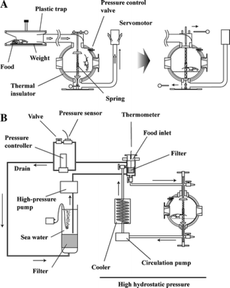 Fig. 2