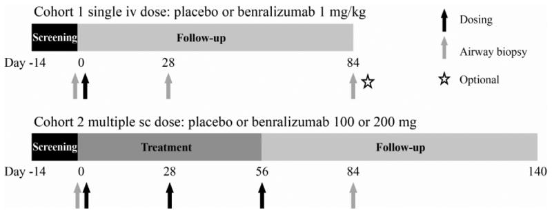 FIG 1