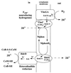 FIG. 3