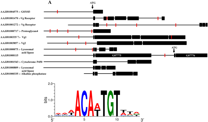 Figure 5