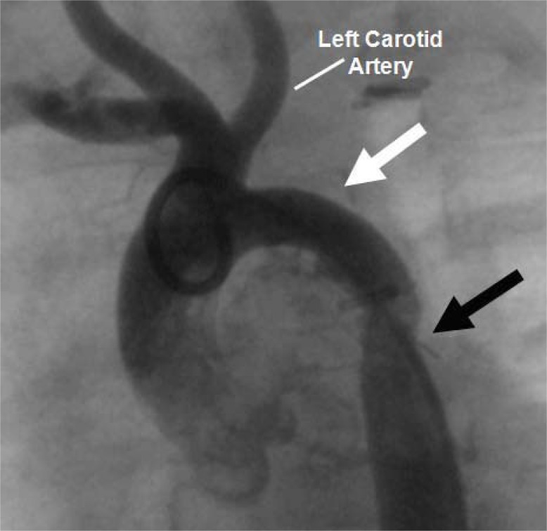 Fig. (5)