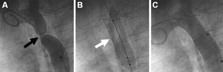 Fig. (8)