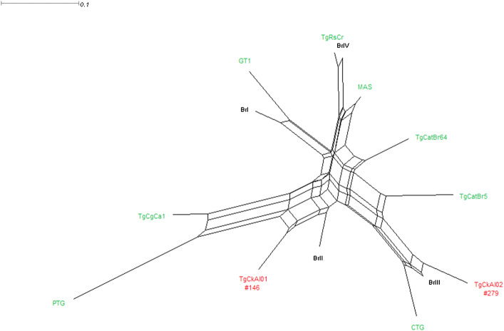 Fig. 1