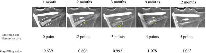 Fig. 3