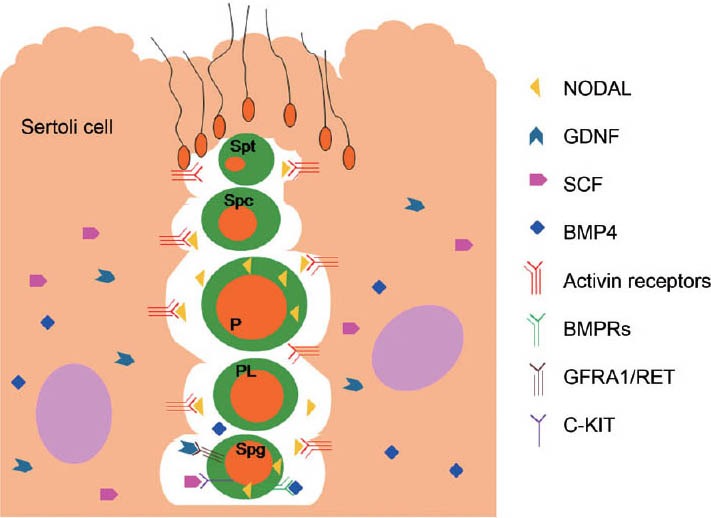 Figure 10