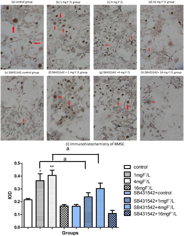 Fig 6