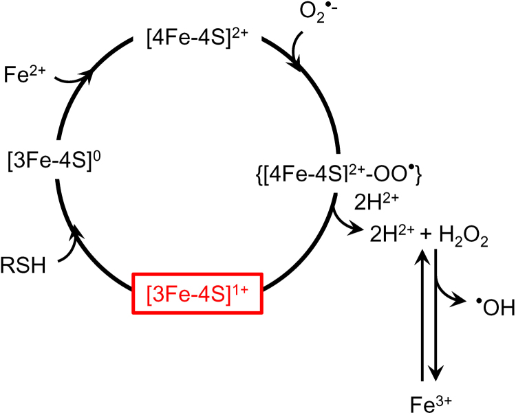 Fig. 16