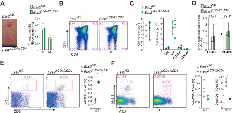 Figure 3