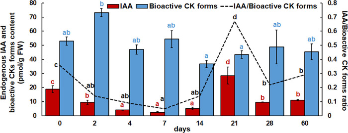 Figure 4