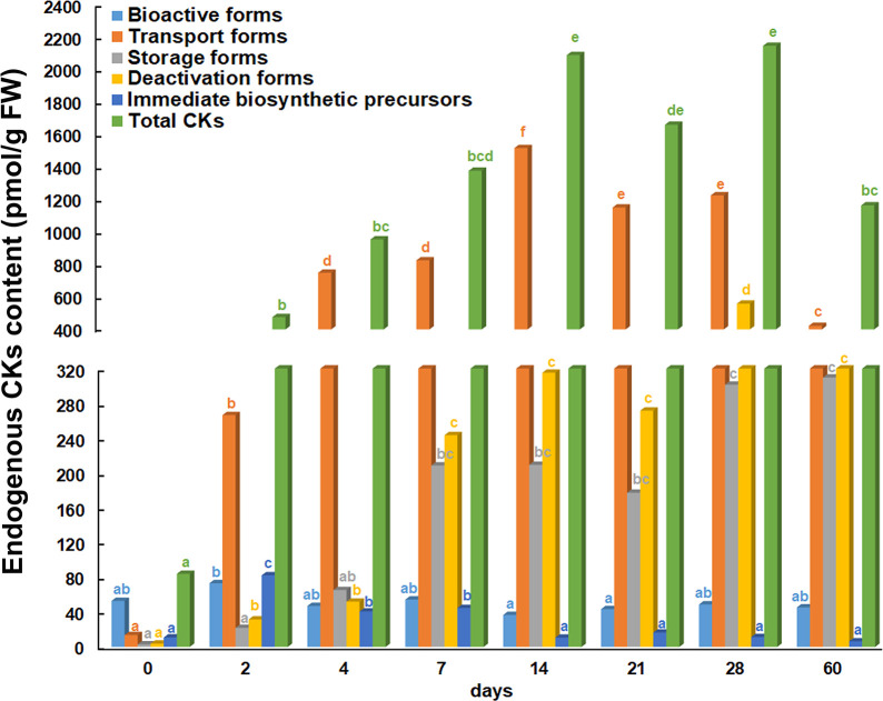 Figure 2