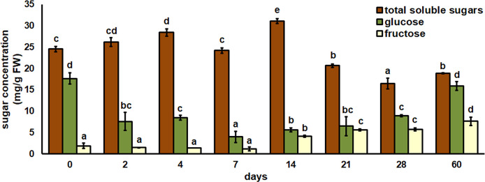 Figure 5