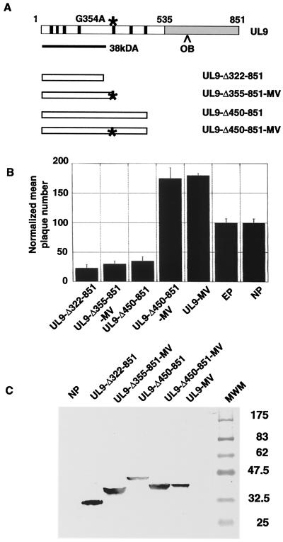 FIG. 4.