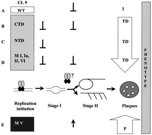 FIG. 9.