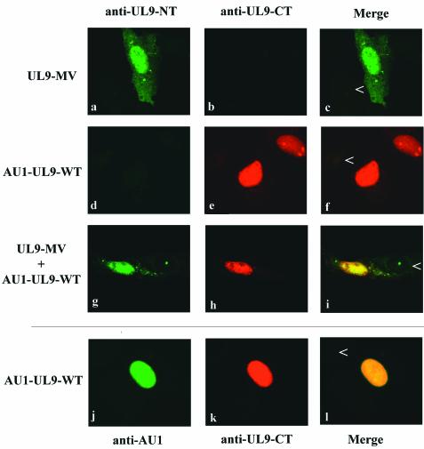 FIG. 7.