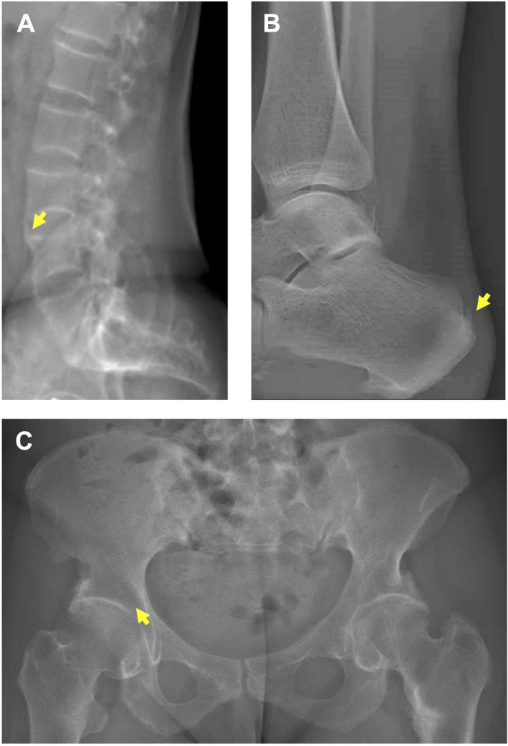 FIGURE 1