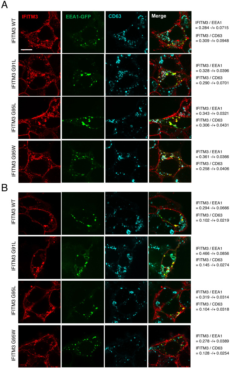 Figure 2—figure supplement 1.