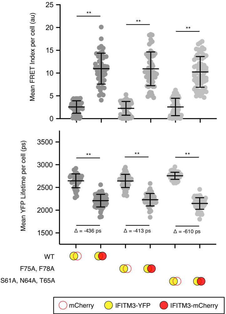 Figure 4—figure supplement 1.