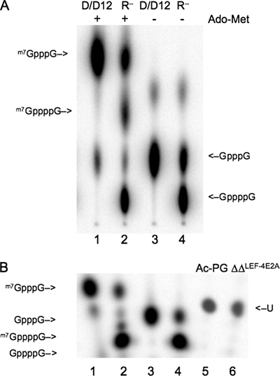 FIG. 6.