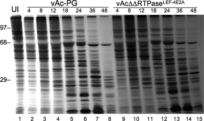 FIG. 5.