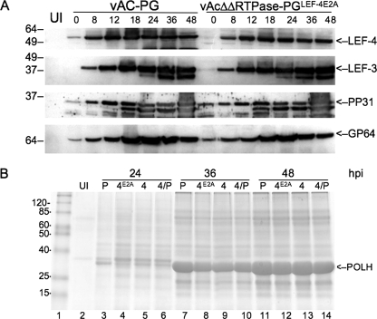 FIG. 4.