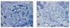Figure 30