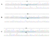 Figure 26