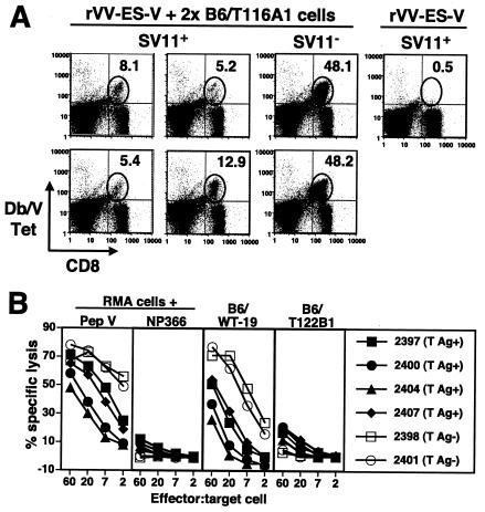 FIG. 5.