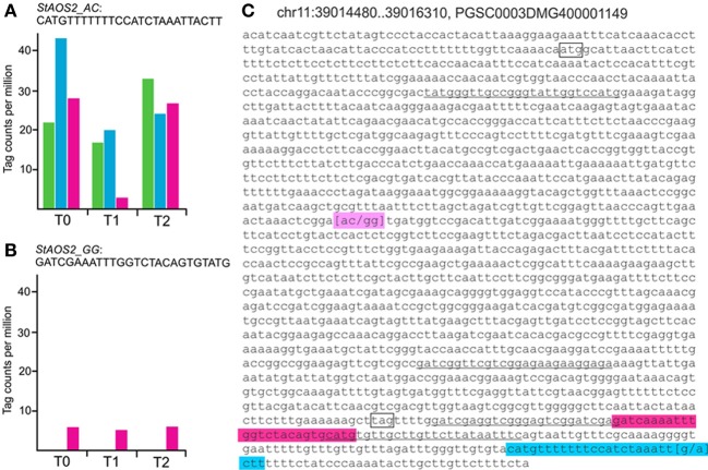 Figure 4